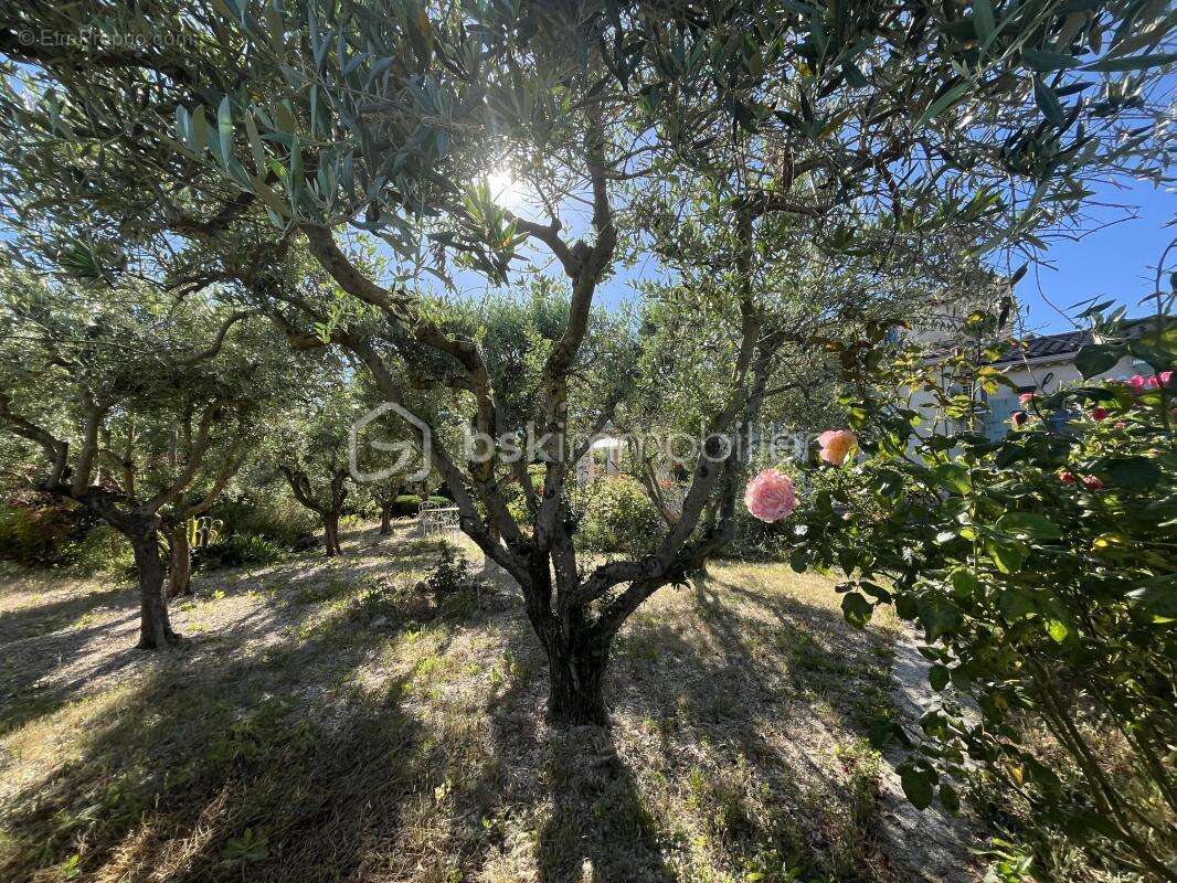Belle maison familiale de 130 m² sur les hauteurs de Manosque - photo 3