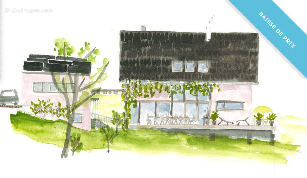 Terrain à MASEVAUX