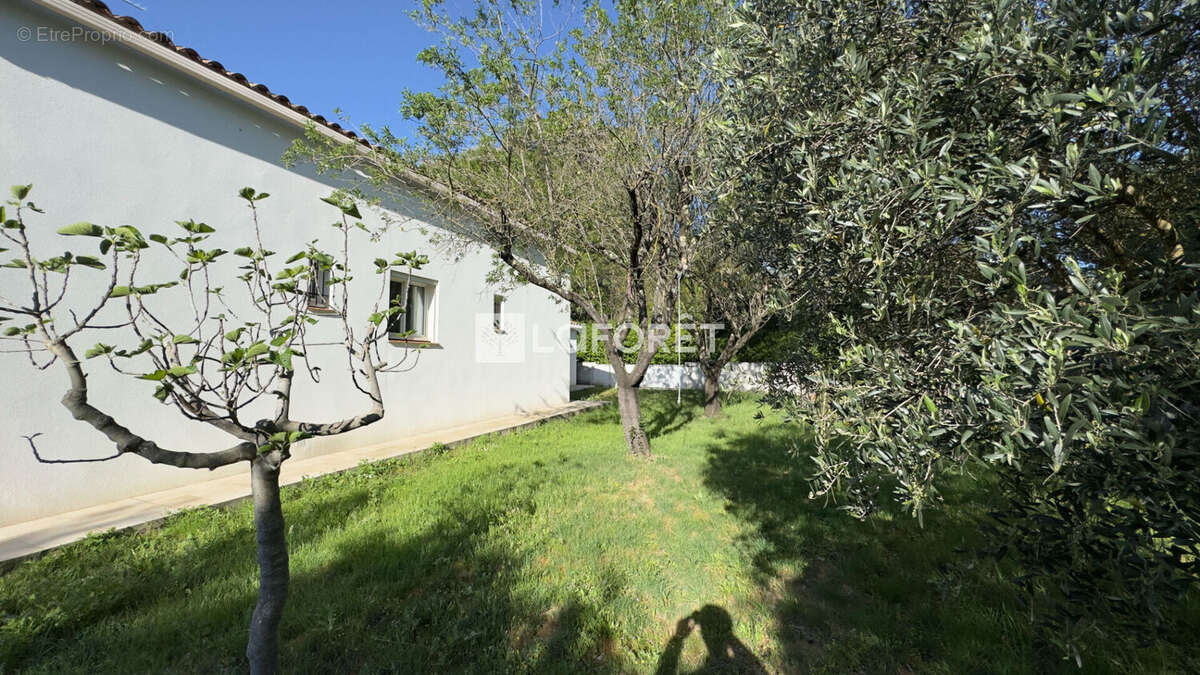 Maison à CASTELNAU-LE-LEZ