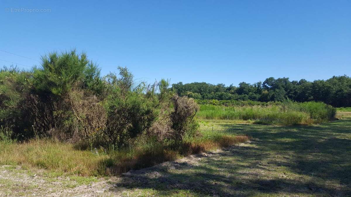 Maison à BRINON-SUR-SAULDRE