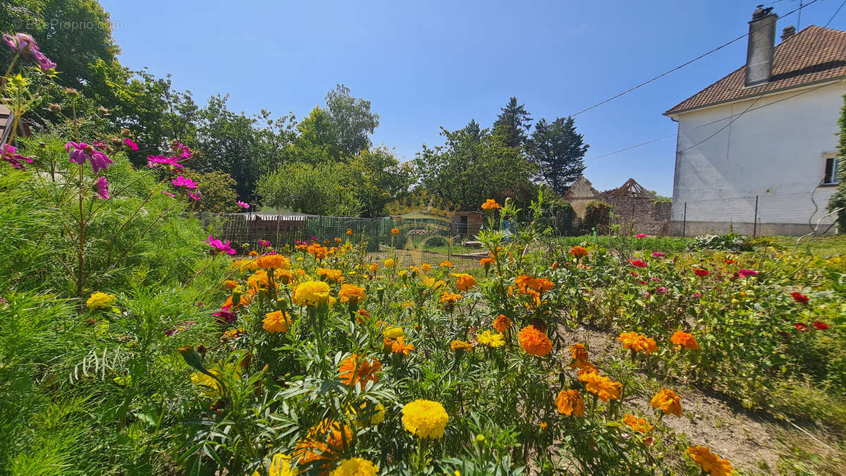 Investissement locatif avec potentiel de valorisation - Marles-sur-Canche. - photo 6