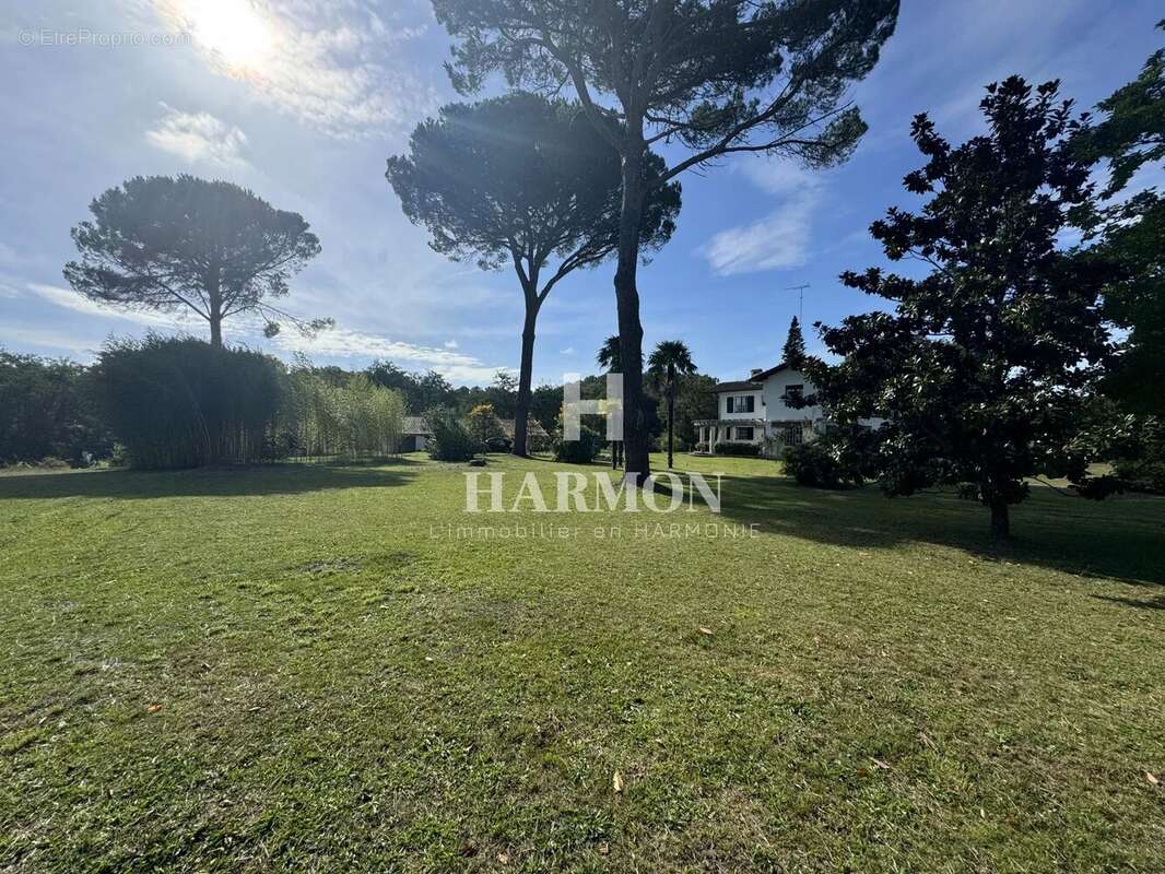 Harmon a vendre : propriété a Magescq - photo 6