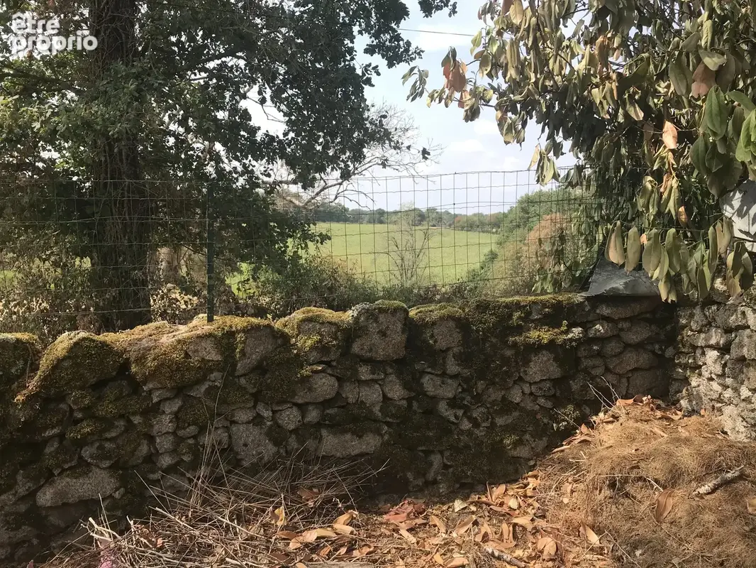 Jolie maison de hameau à Saint Leger Magnaziex - photo 6