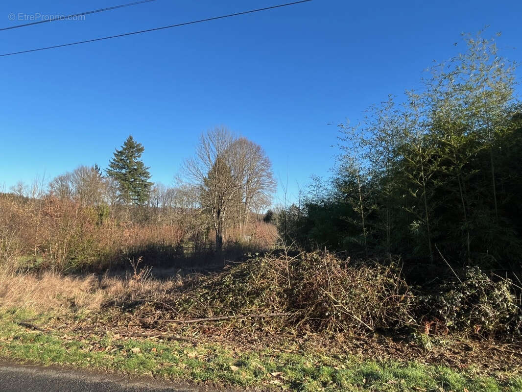 Terrain à LADIGNAC-LE-LONG