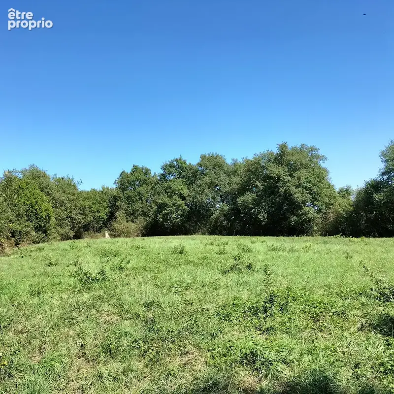 joli terrain de 2800m2 , sans vis à vis, 20 min d'Auch - photo 2