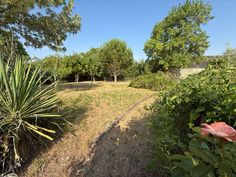 Maison Doué en anjou 4 pièce(s) 139 m2 - photo 6