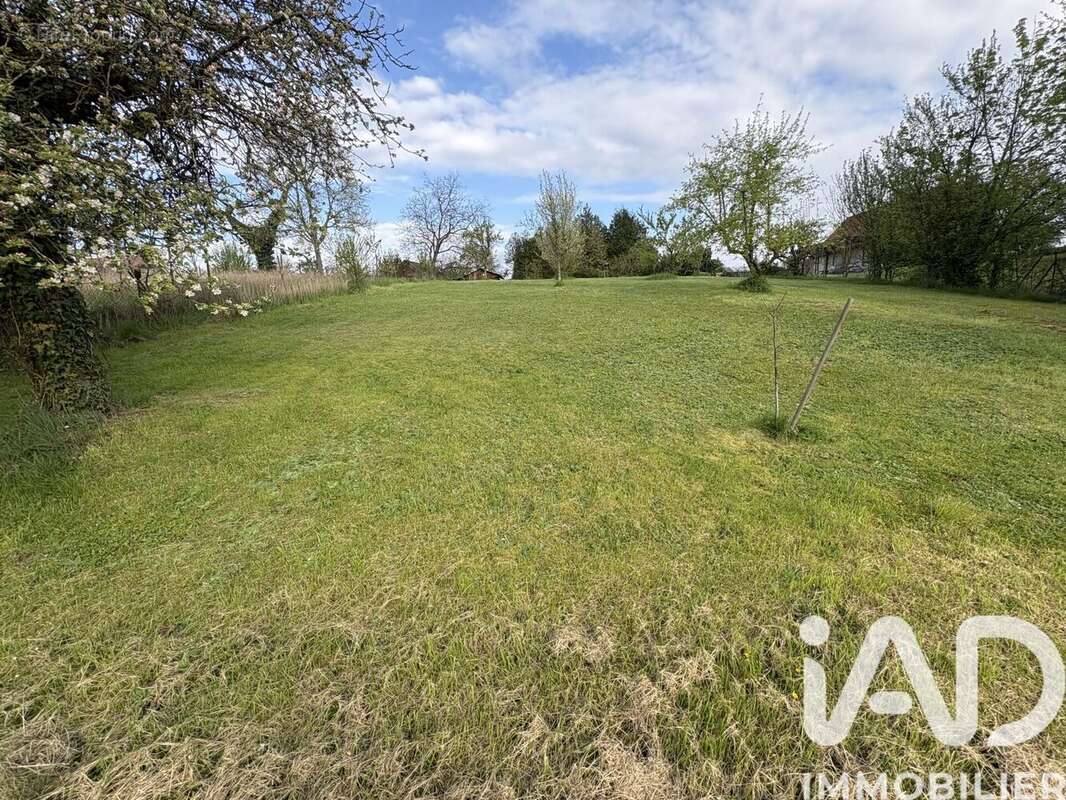 Photo 2 - Terrain à SAVERNE