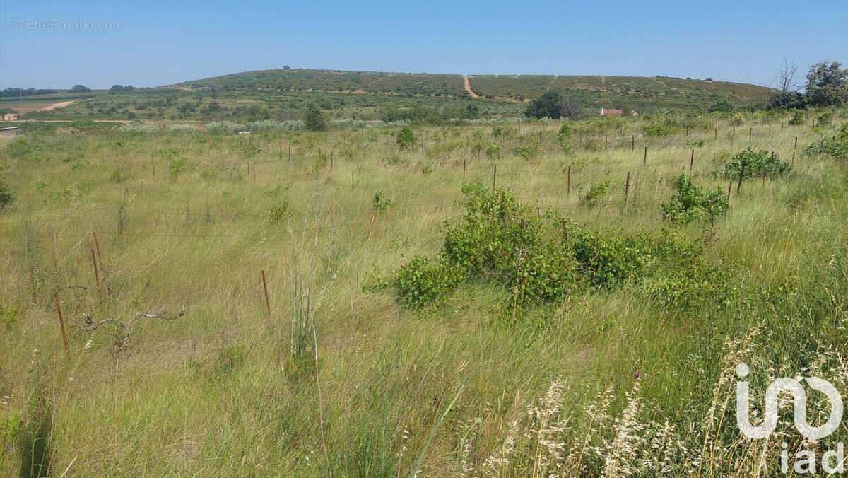 Photo 1 - Terrain à GENERAC