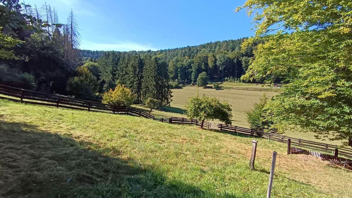 Maison à ZITTERSHEIM