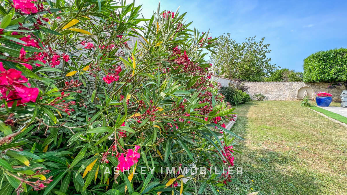Exclusivité - à vendre 10 min de la rochelle  - maison familiale  5 chambres avec piscine et jardin2 - photo 15