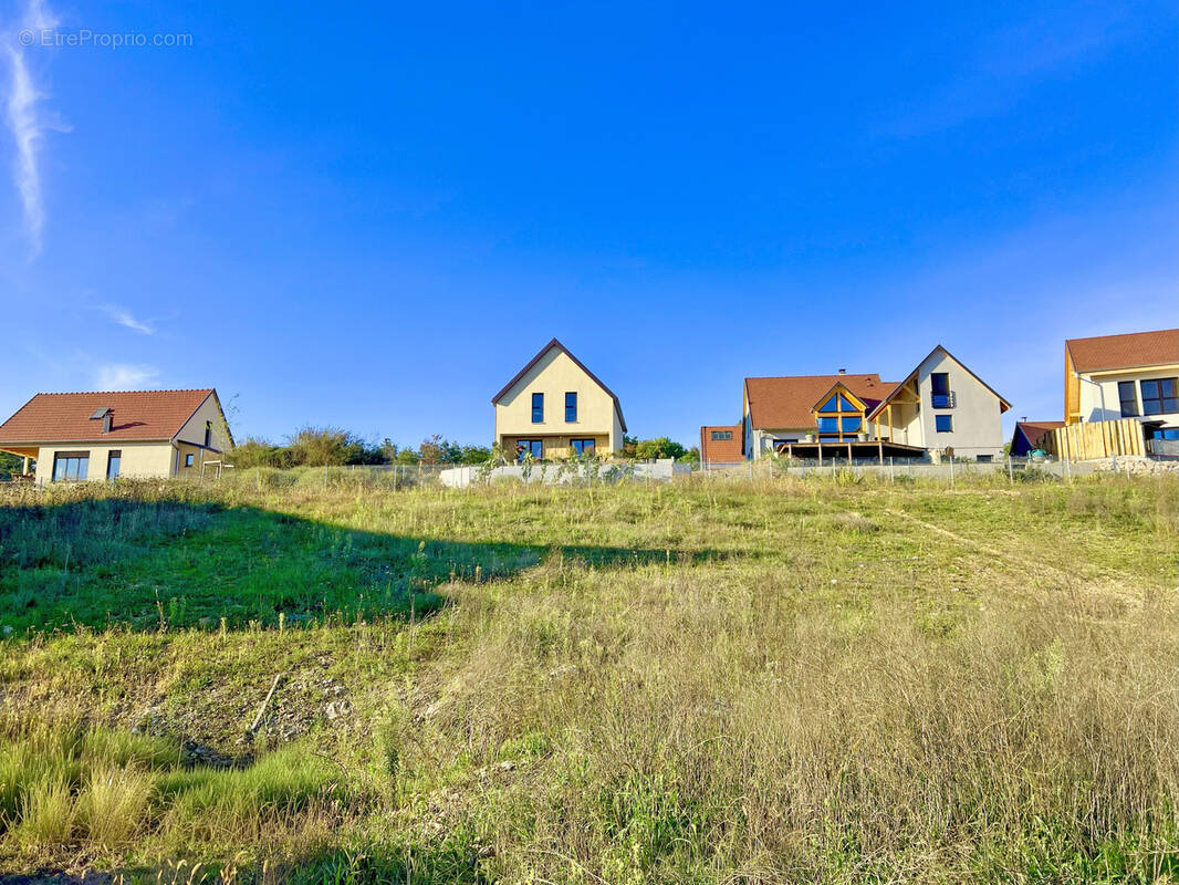 Terrain à ROSENWILLER
