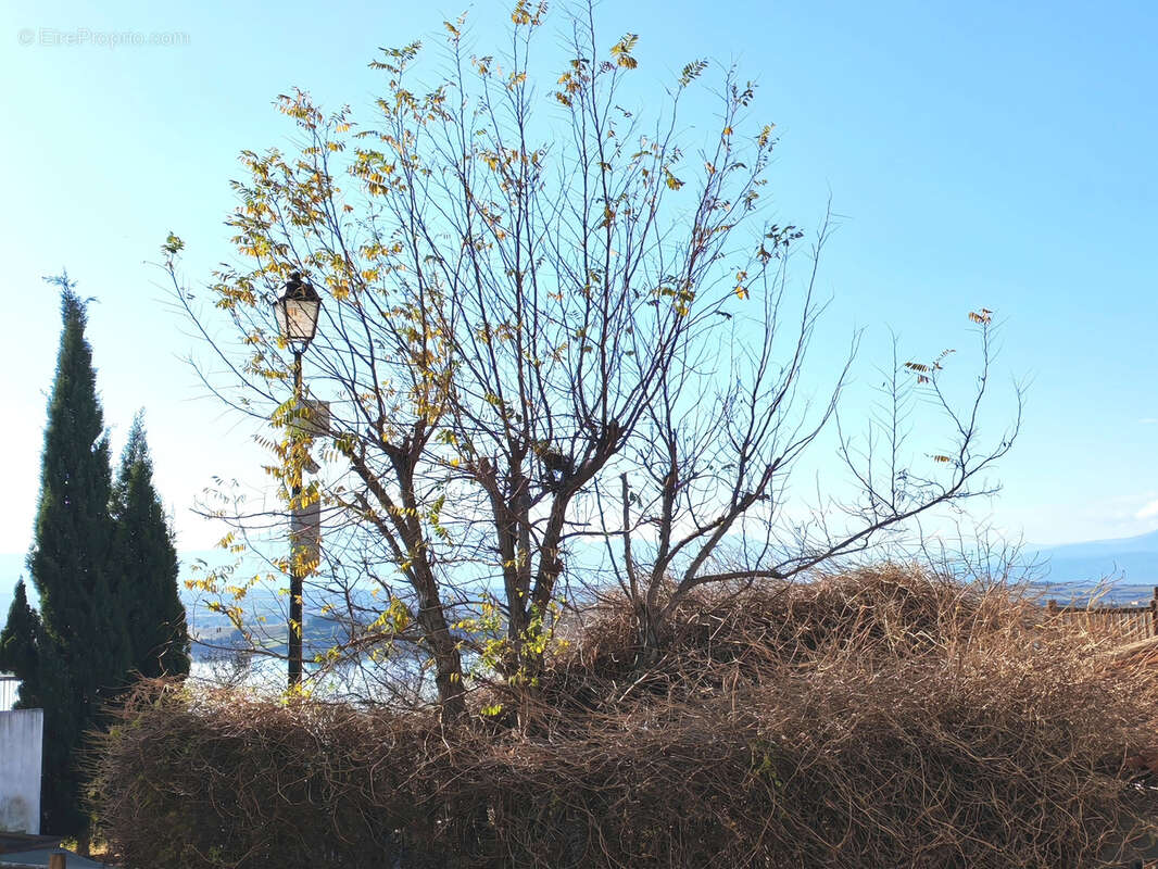 Maison à VILLENEUVE-DE-LA-RAHO