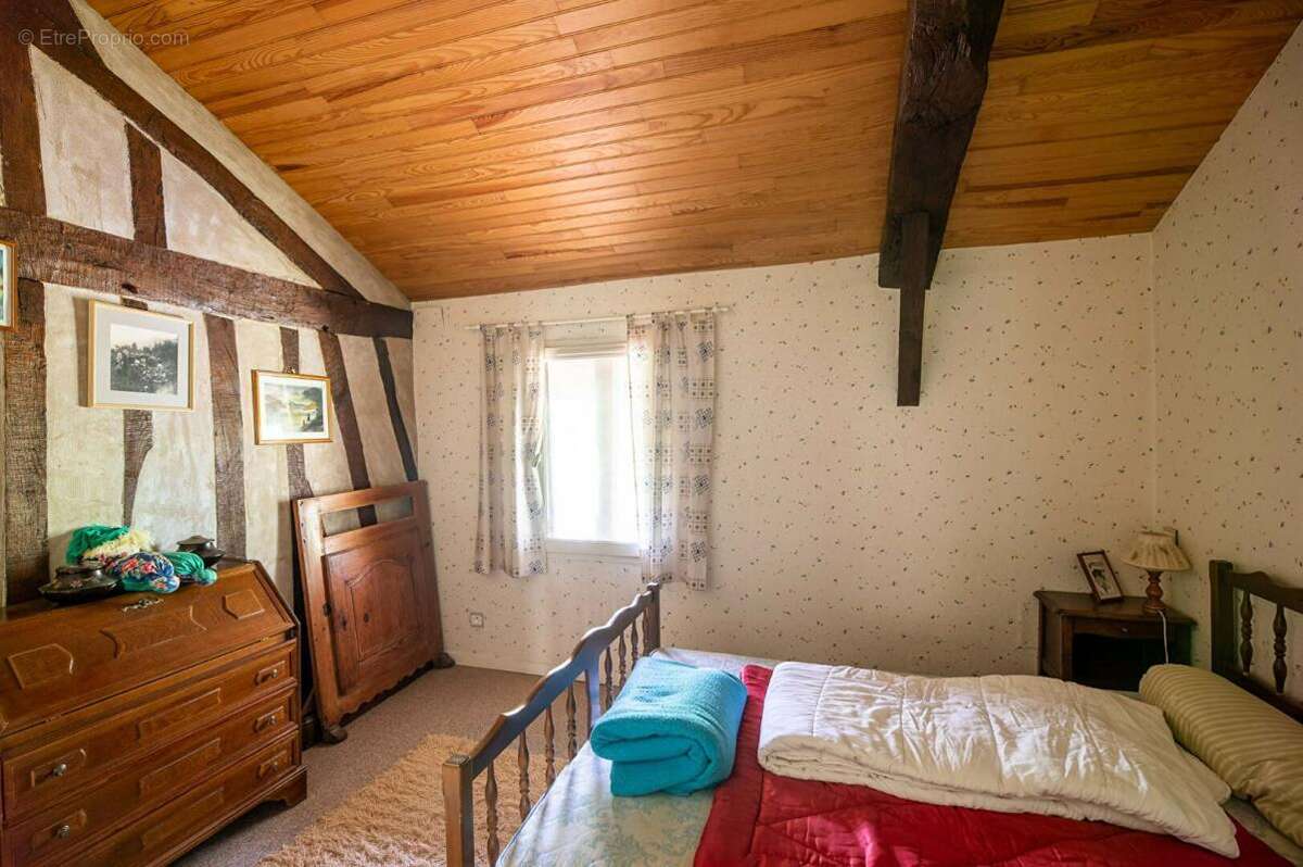 Maison Landaise entre pins et Océan - photo 16