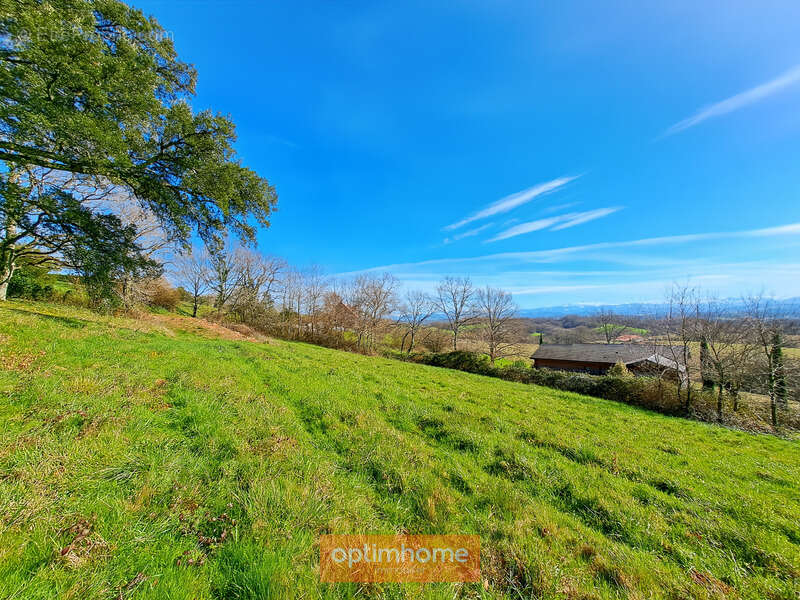 Proche de sauveterre de bearn (64) - photo 3
