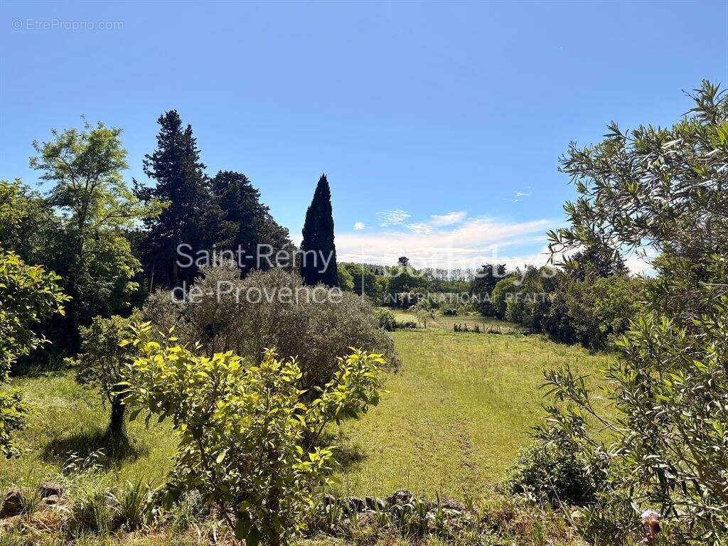 Authentique mas familial au coeur d'un parc de plus de 3 hectares - photo 2