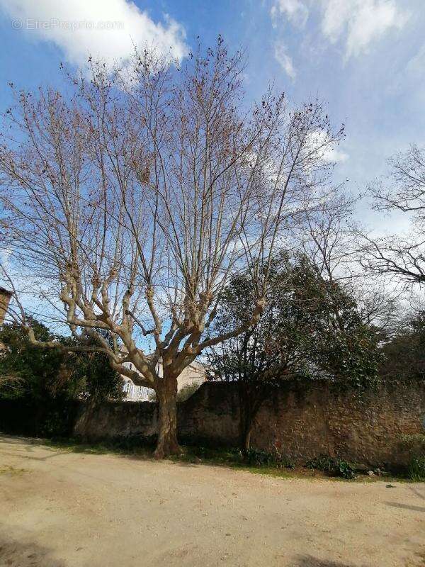 Terrain à LE BEAUSSET