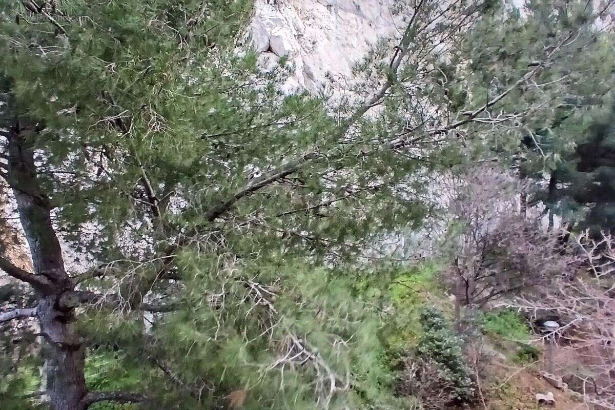 Appartement à MARSEILLE-9E