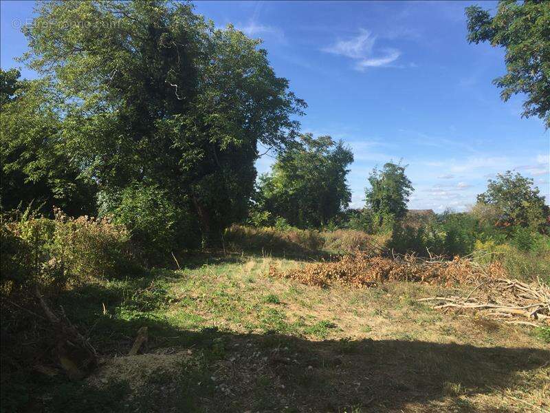 Terrain à MONTAINVILLE