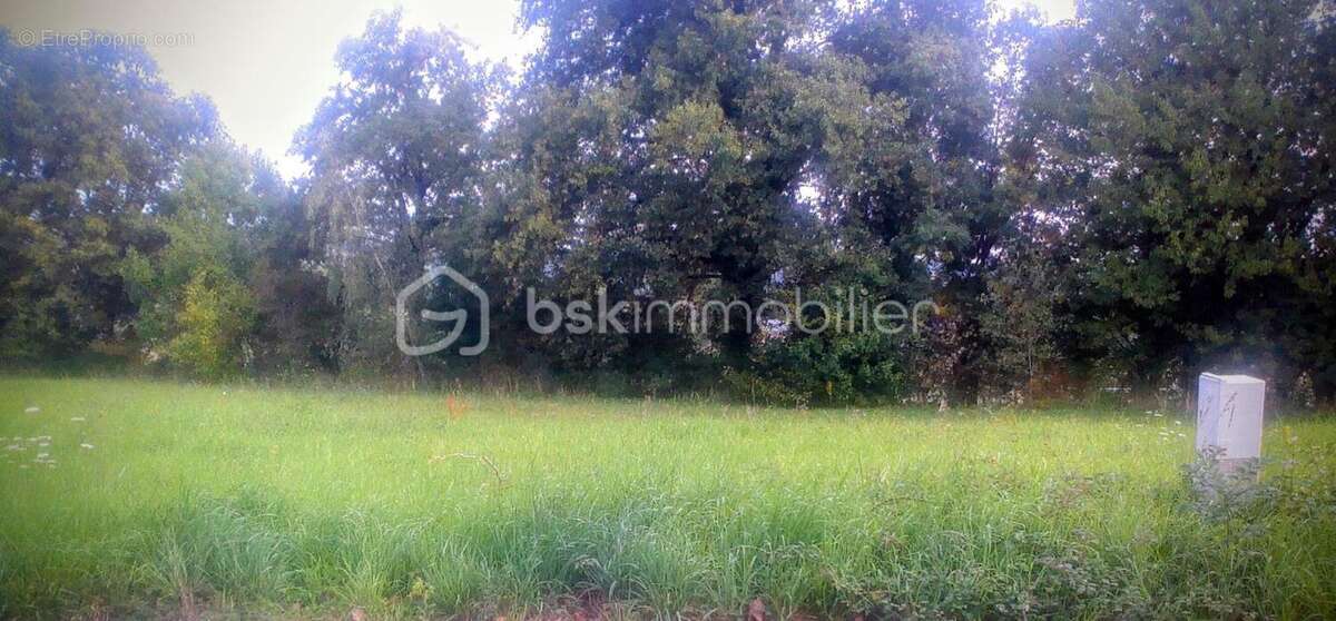 Terrain à MARTIGNE-FERCHAUD