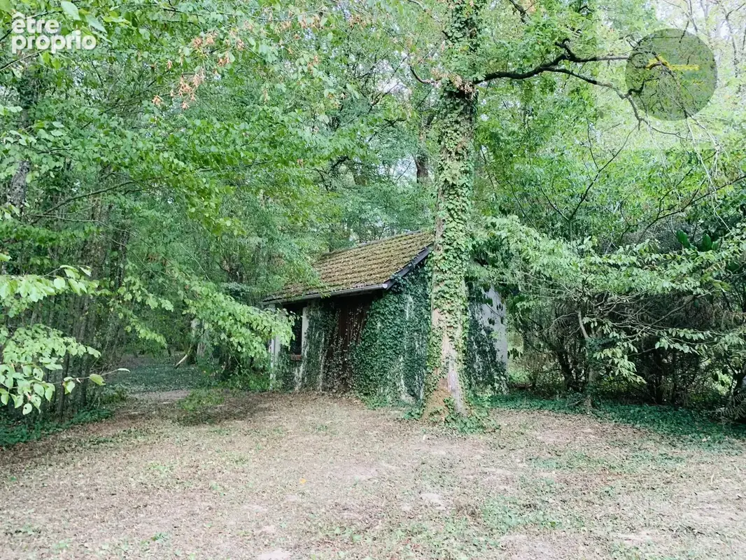 Domaine residendiel avec etangs - photo 8