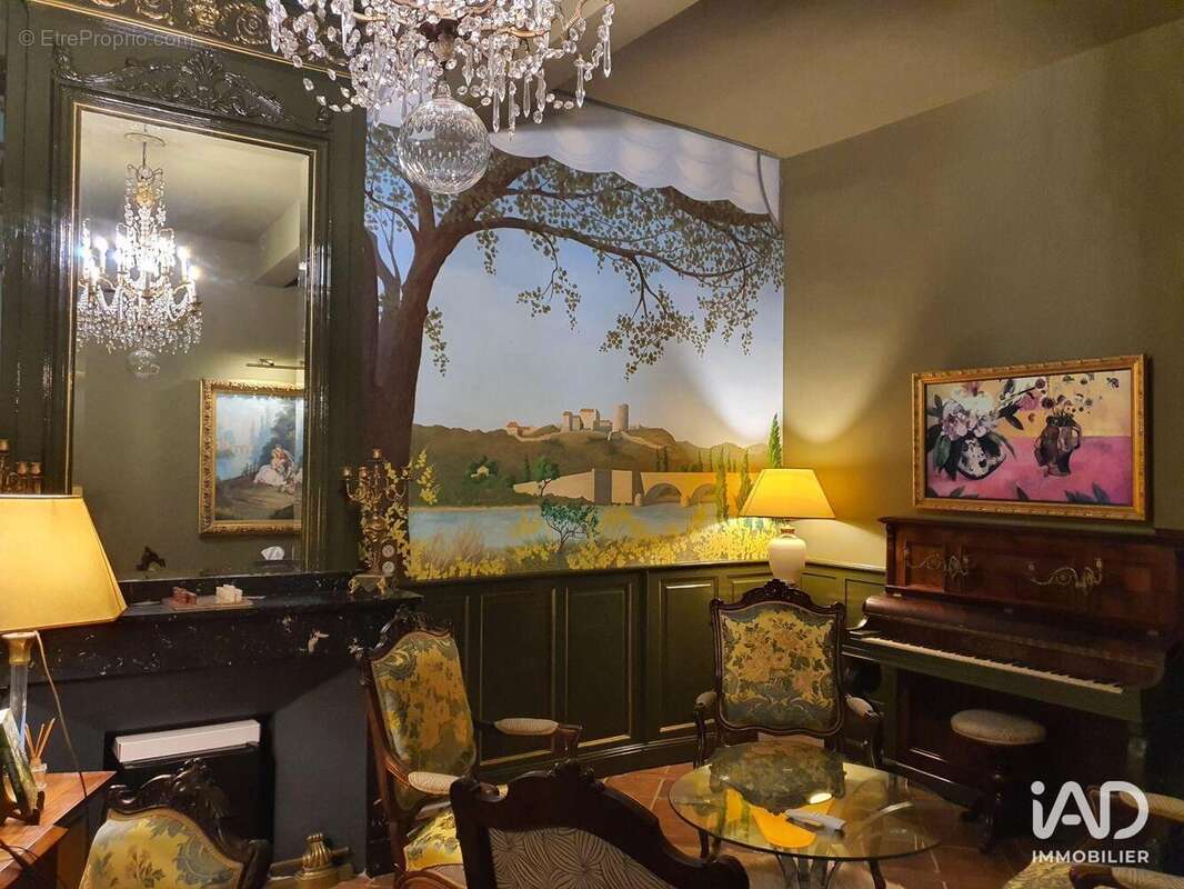 Photo 4 - Commerce à MIREPOIX