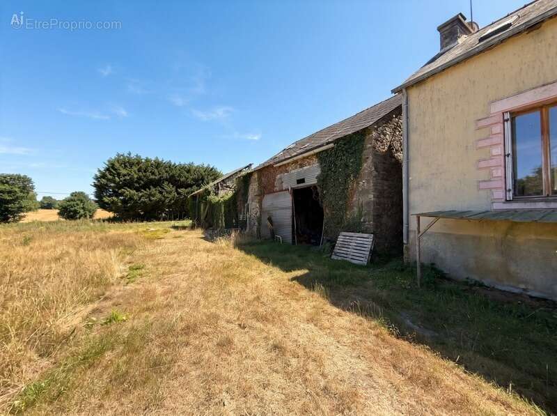 Longère en pierre – 150,76 m² – 6 pièces – 5 chambres – Terrain 6 345 m² – Dépendances – Hangar – Sous-sol complet - photo 4