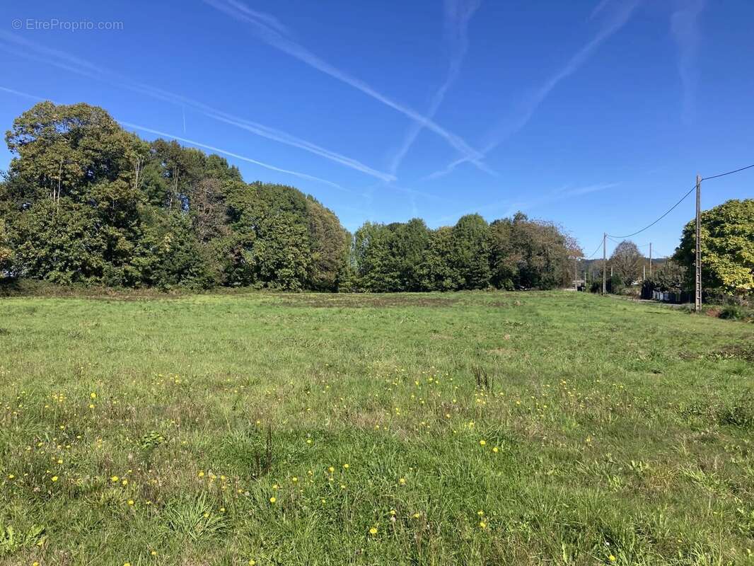 Terrain à LA COQUILLE