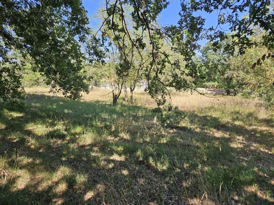 Terrain à ROQUEBRUNE-SUR-ARGENS