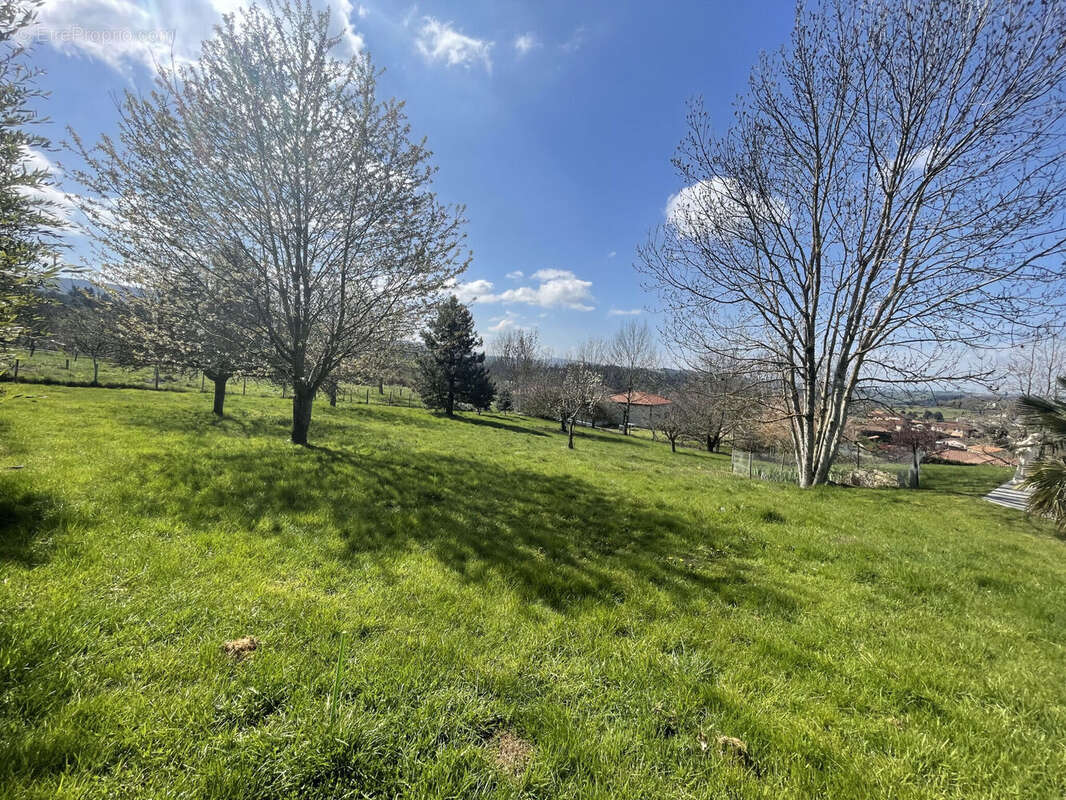 Terrain 1244 m² à Cublize  - photo 4