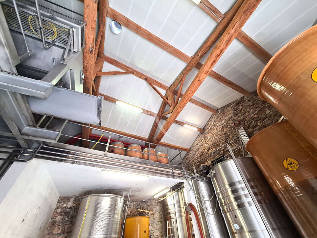 Maison à LUC-SUR-ORBIEU