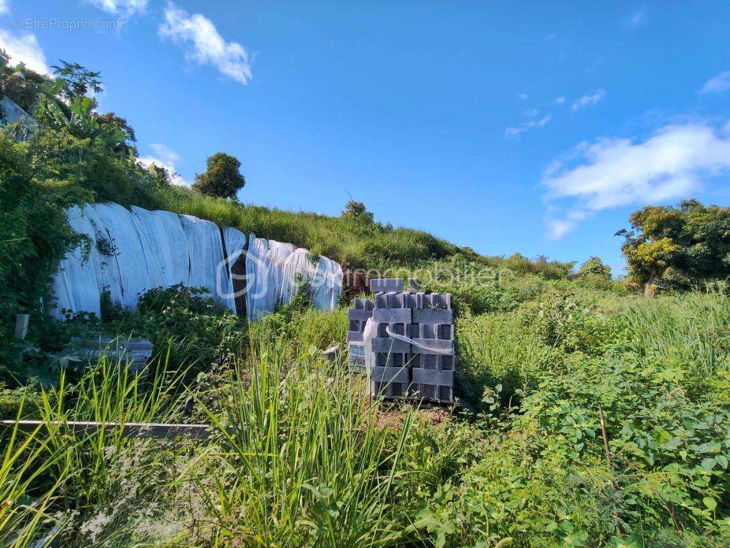 Terrain à LA POSSESSION