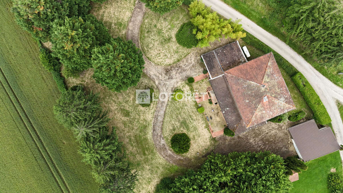 Villa à vendre de 292 m² nichée dans un parc arboré de 4800 m² entre Chalamont et Villars - photo 16