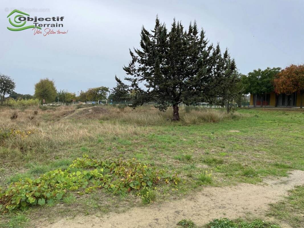 Terrain à CAZOULS-LES-BEZIERS