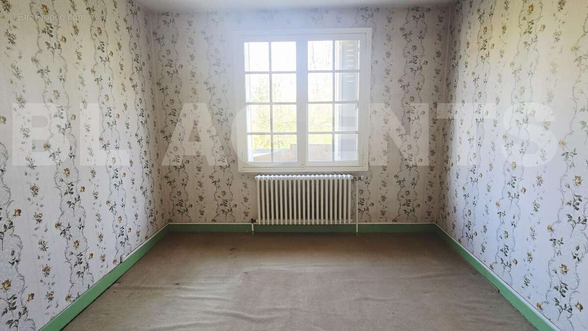 20251107_142818 - Maison à DOUZY