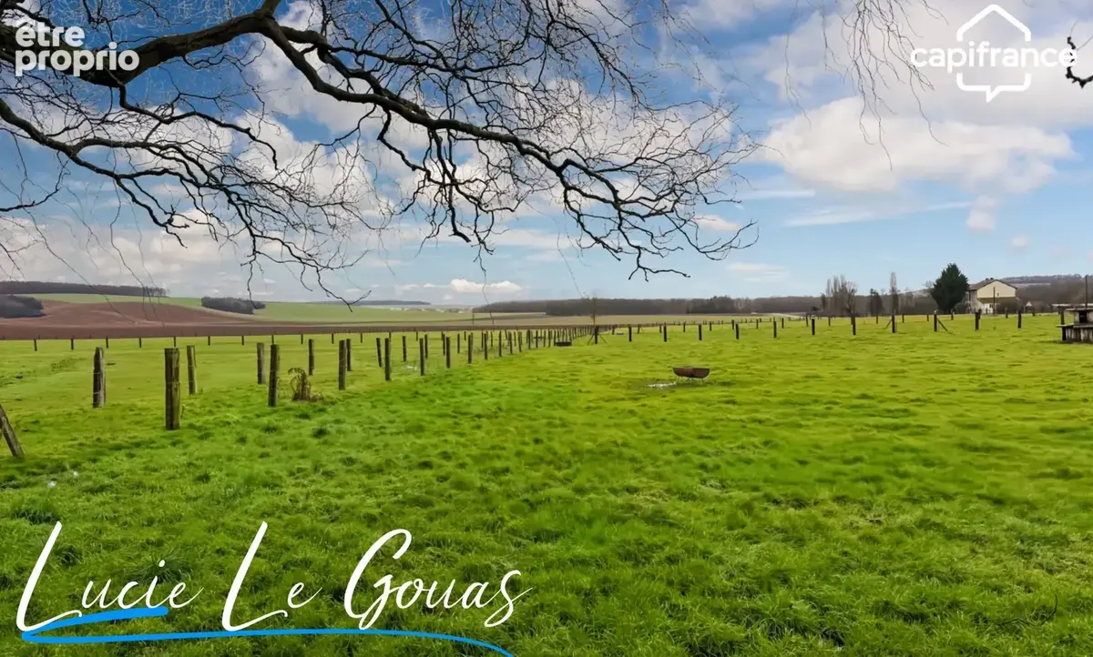 Ferme équestre - photo 20