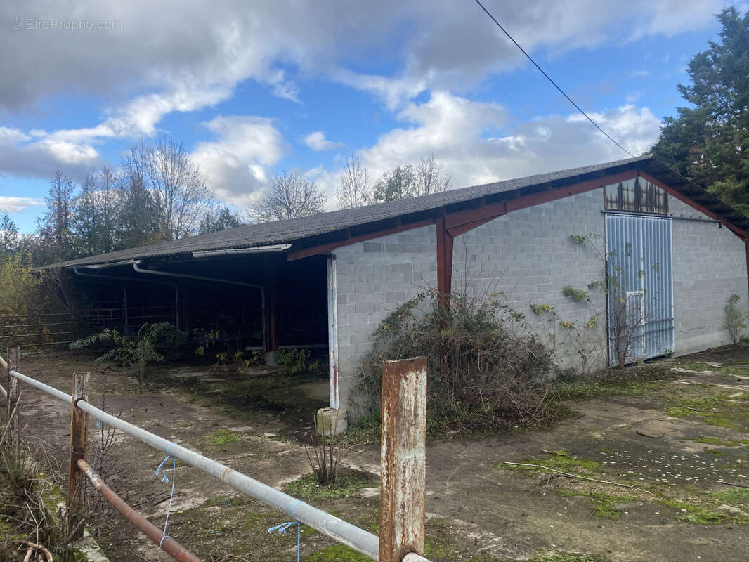 Terrain à SAINT-JUST-SAINT-RAMBERT