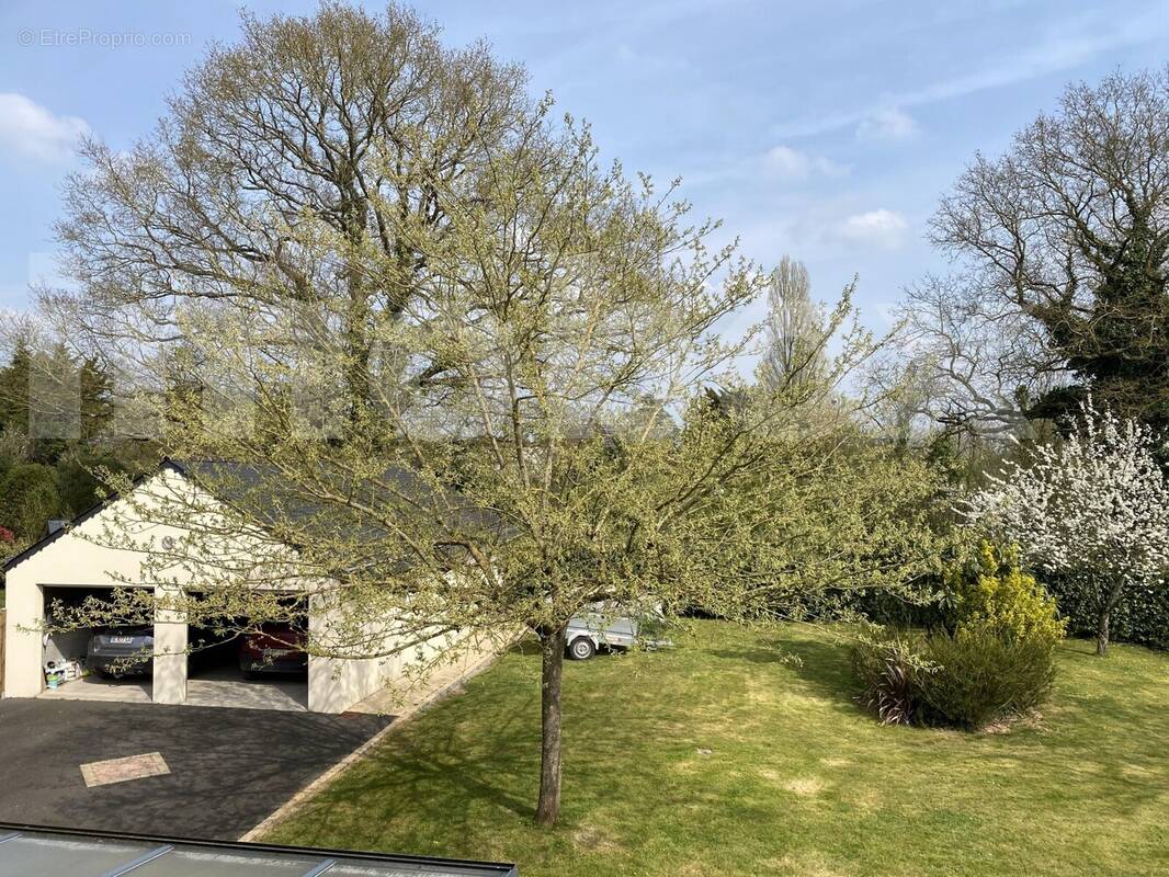 IMG_1919 - Maison à MESANGER