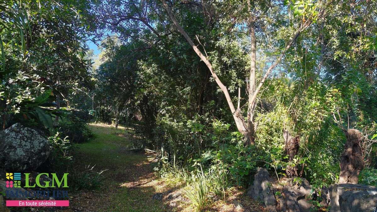 Maison à LA PLAINE-DES-PALMISTES