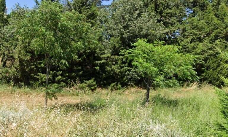 Terrain à LA BASTIDE-DES-JOURDANS