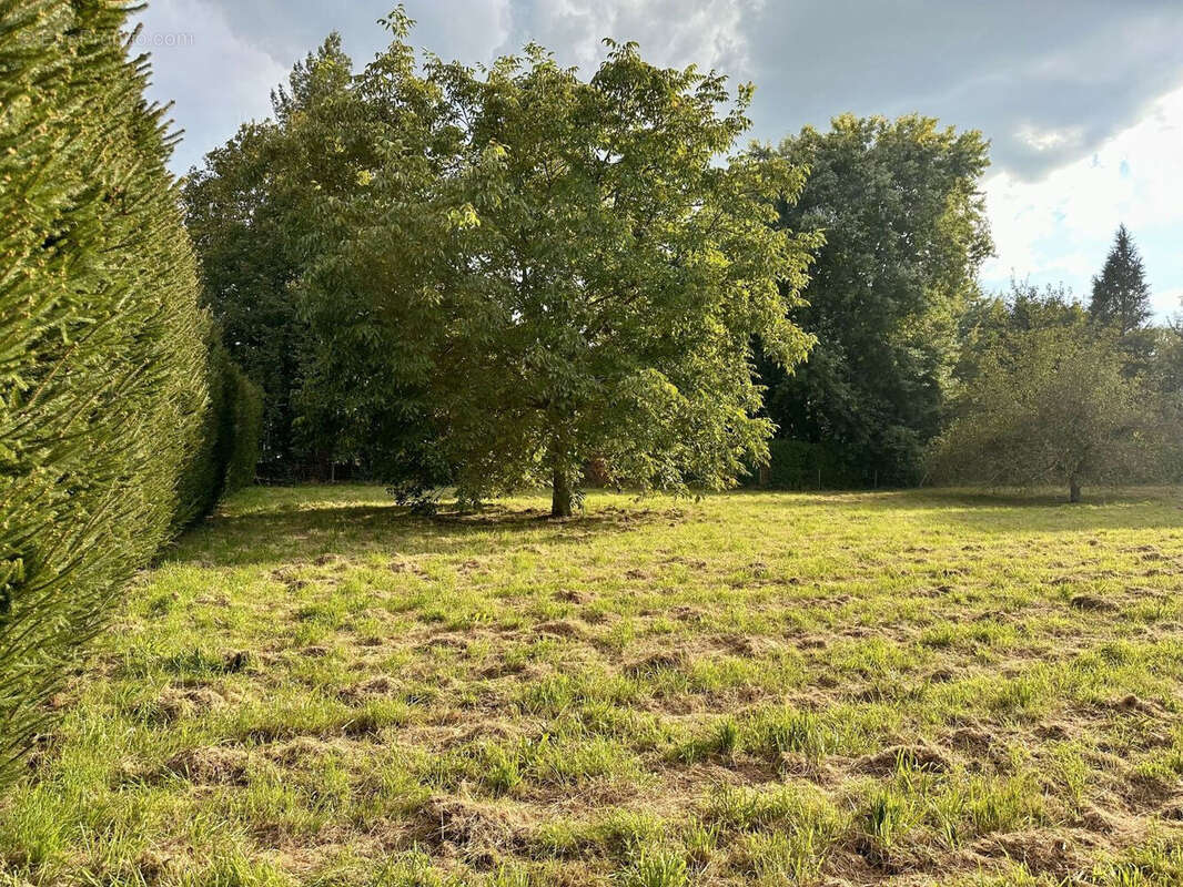 Terrain à RAMBERVILLERS