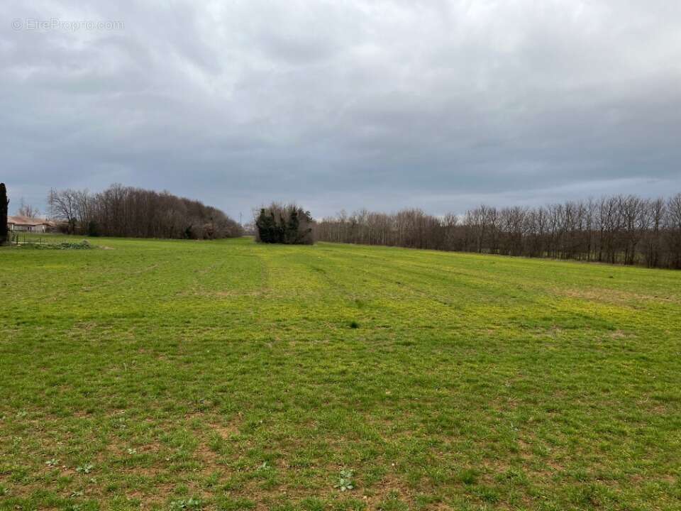 Terrain à VALENCE
