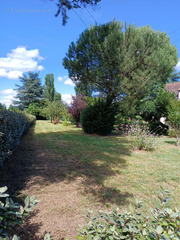 Maison à LA ROQUE-GAGEAC