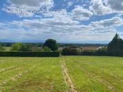 Terrain à SERRES-CASTET