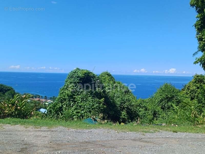 Terrain à BOUILLANTE