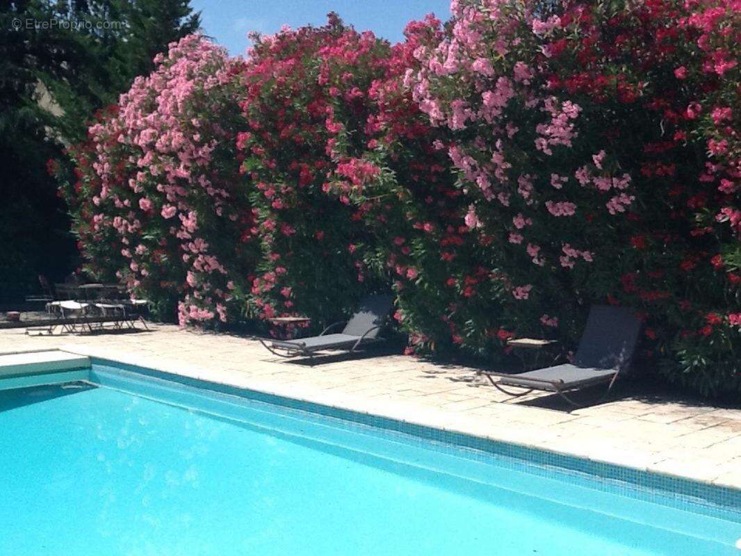 Maison à VAISON-LA-ROMAINE