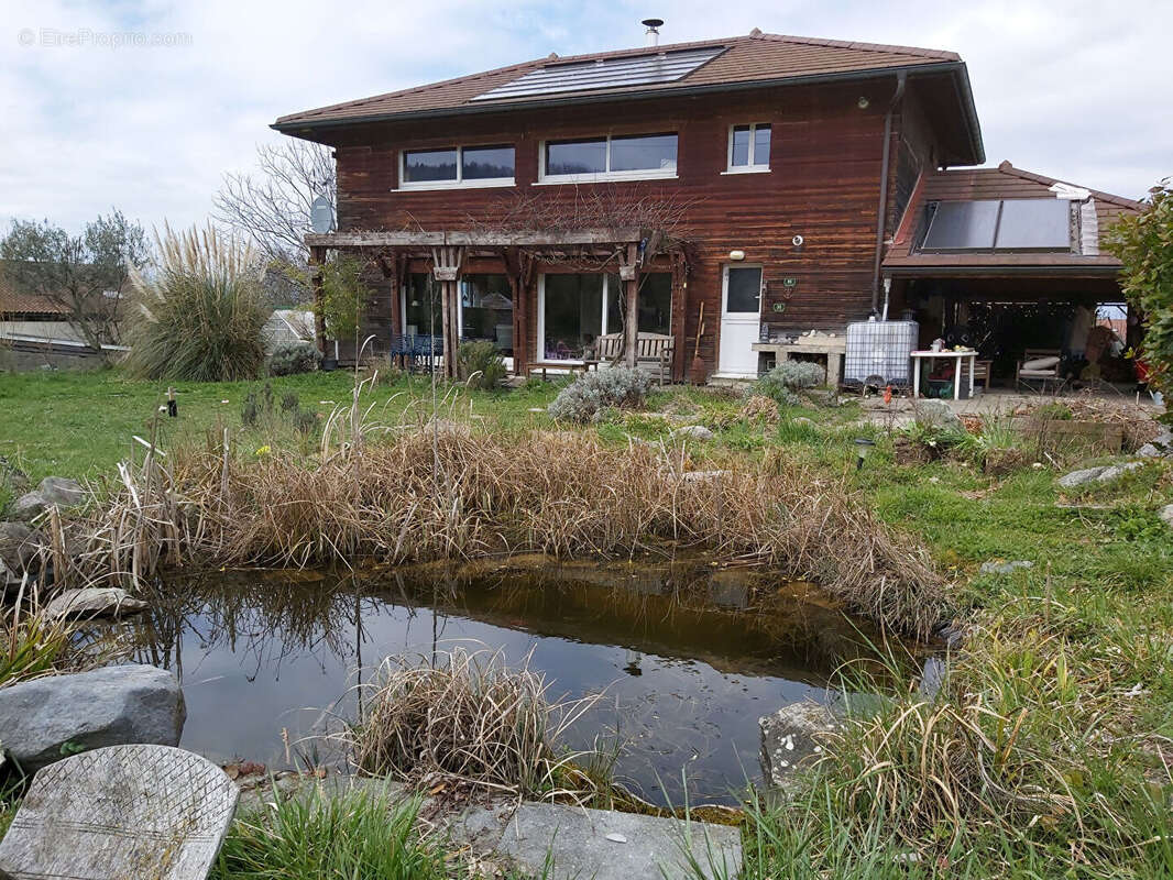 Maison à MASSONGY
