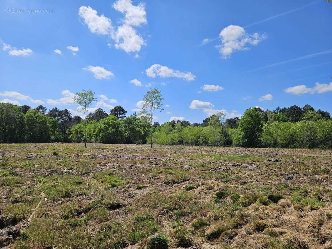 Terrain à bâtir de 800 m² à LE TUZAN (33) - photo 2
