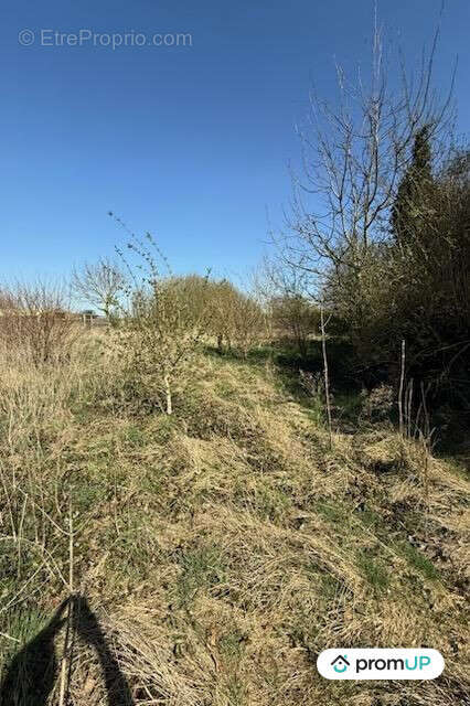 Terrain à BUIRE-COURCELLES