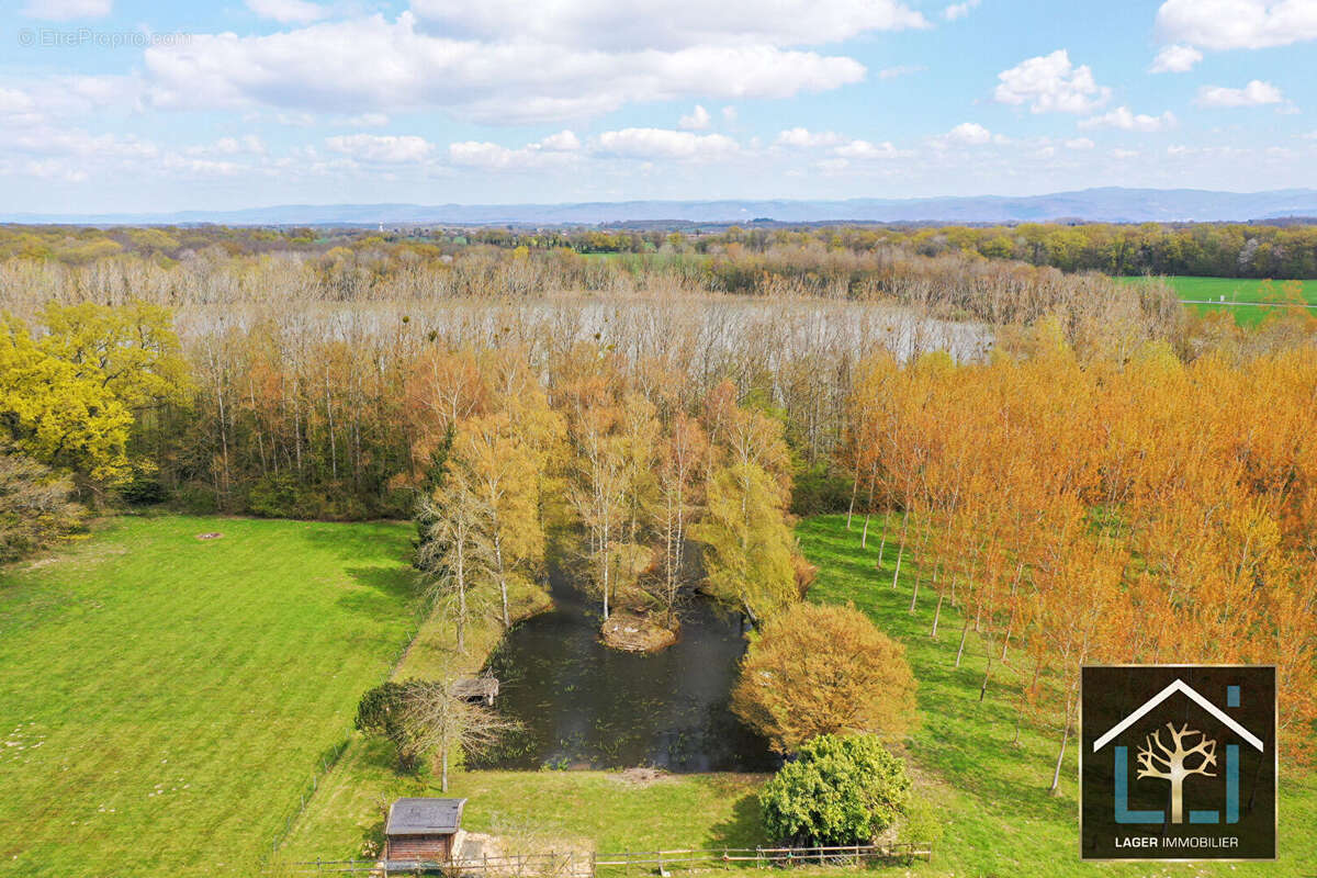 Maison  Faramans avec magnifique terrain et plan d'eau - photo 13
