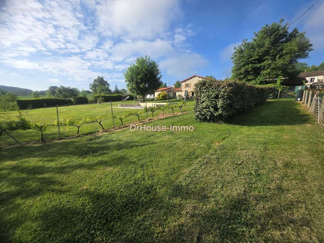 Terrain 811 m² à Tecou  - photo 6